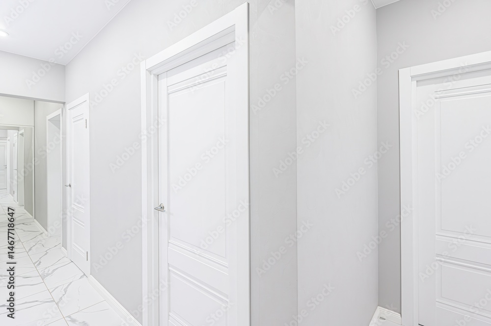 Fototapeta premium standard room interior apartment. room doors, renovation corridor lobby entrance hall
