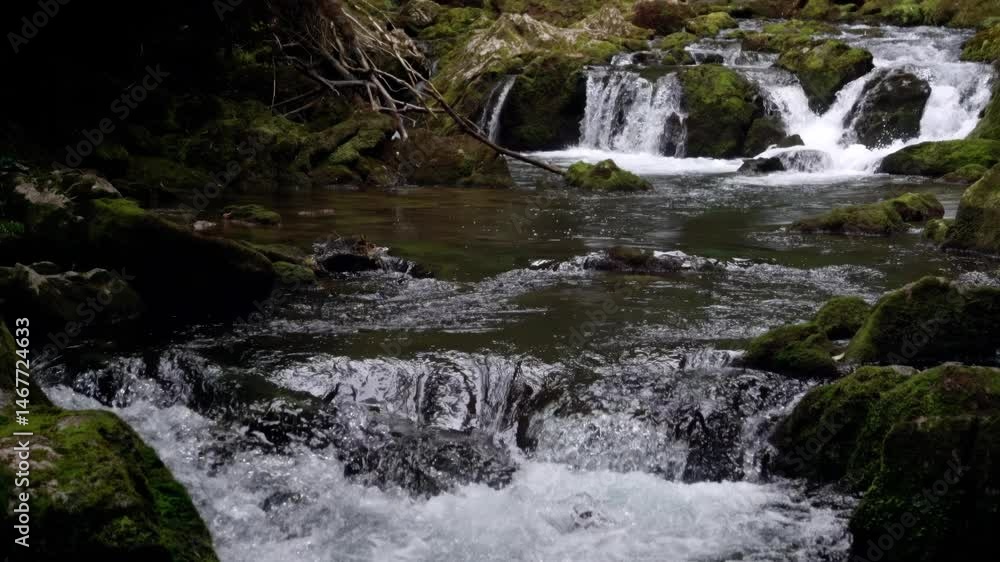 Crystal Clear Water in the Riuwaka River – Pristine Nature and Tranquility
Crystal Clear Water in the Riuwaka River – Pristine Nature and Tranquility