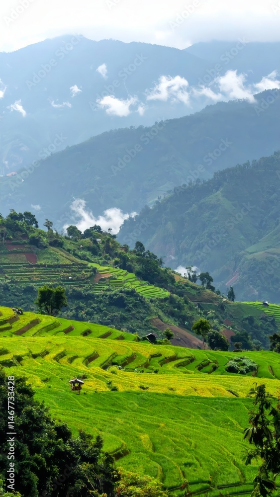 Naklejka premium Lush green rice terraces cascade down hillsides in Southeast Asia on a cloudy day showcasing the agricultural landscape and natural beauty