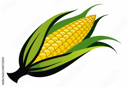 corn cobs isolated on white