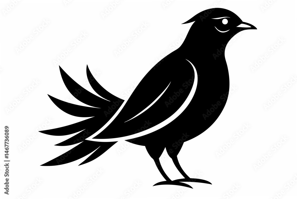 Fototapeta premium silhouette of a crow