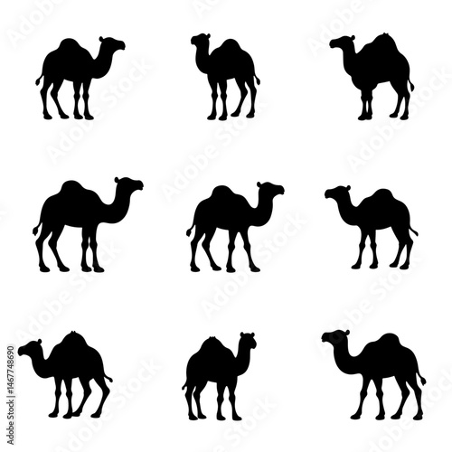 black and white silhouettes of camels in various poses and positions. Some camels are standing, some are walking, and some have riders on their backs. scientific name