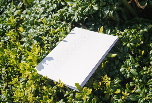 Blank magazine hard back mock up in tropical bushes in nature