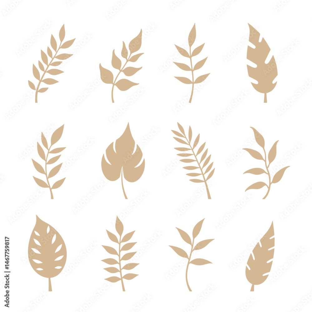 Obraz premium vector set of wheat ears