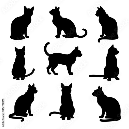 cat silhouette set. cat or kitty isolated farm animal silhouette icon vector collection