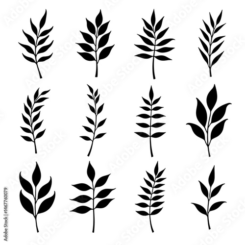 Hand-drawn black ink illustrations of branches, including isolated floral decorative elements and a collection of herb silhouettes