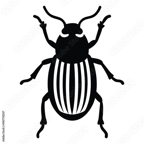 Striking black beetle with striped abdomen stands elegantly on a plain backdrop