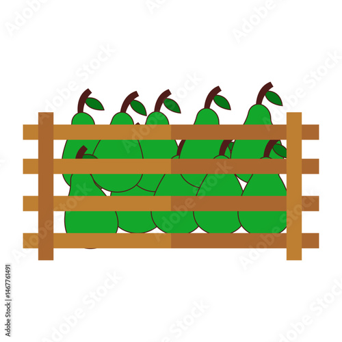 Fruits In Wooden Box
