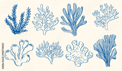 Whimsical hand-drawn coral and seaweed illustrations in a vintage doodle style