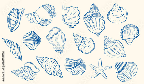 Whimsical hand-drawn seashells and starfish in a vintage sketch style.