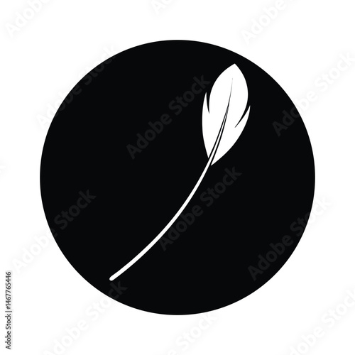 White Floating Feather with Soft Focus Effect