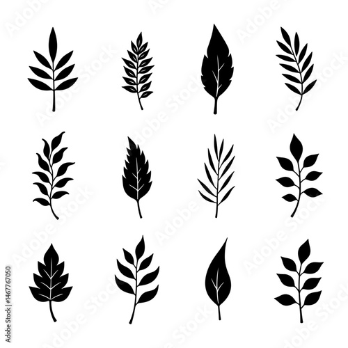 Hand-drawn black ink illustrations of branches, including isolated floral decorative elements and a collection of herb silhouettes