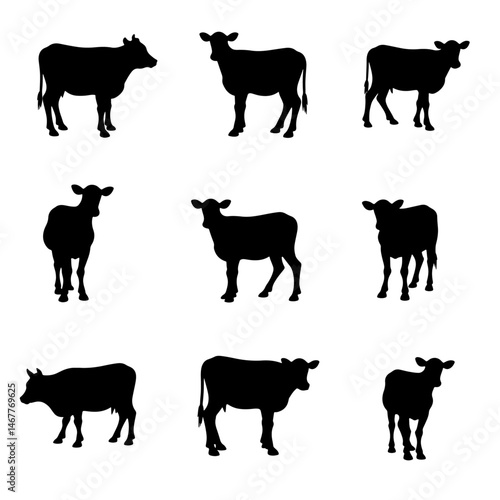 Set of cow vector silhouette illustration isolated on white background