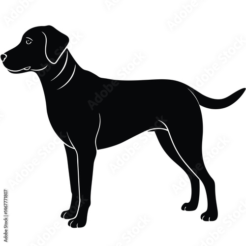 Majestic Black Labrador Retriever Silhouette A Canine Vector Illustration