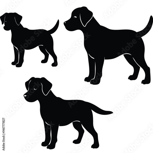 Silhouette Collection Three Elegant Labrador Retriever Poses