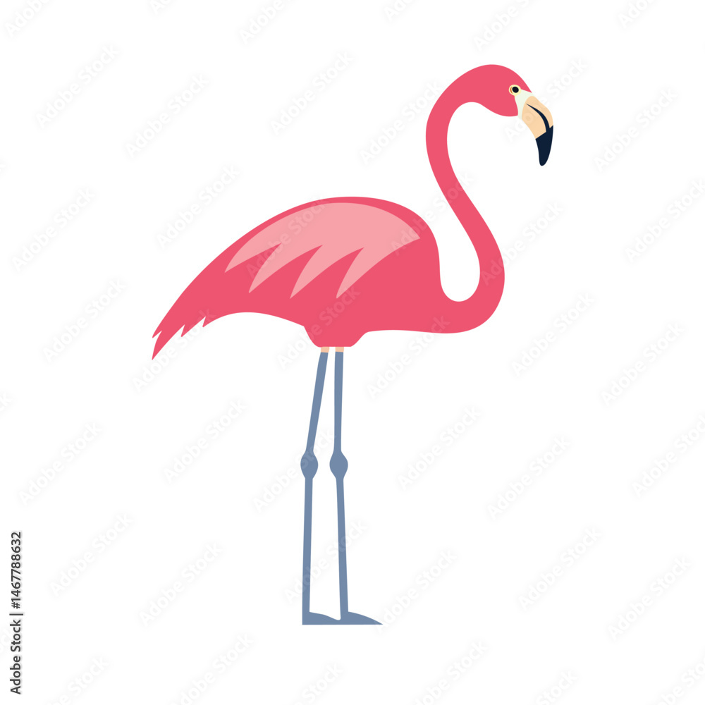 Obraz premium pink flamingo isolated on white