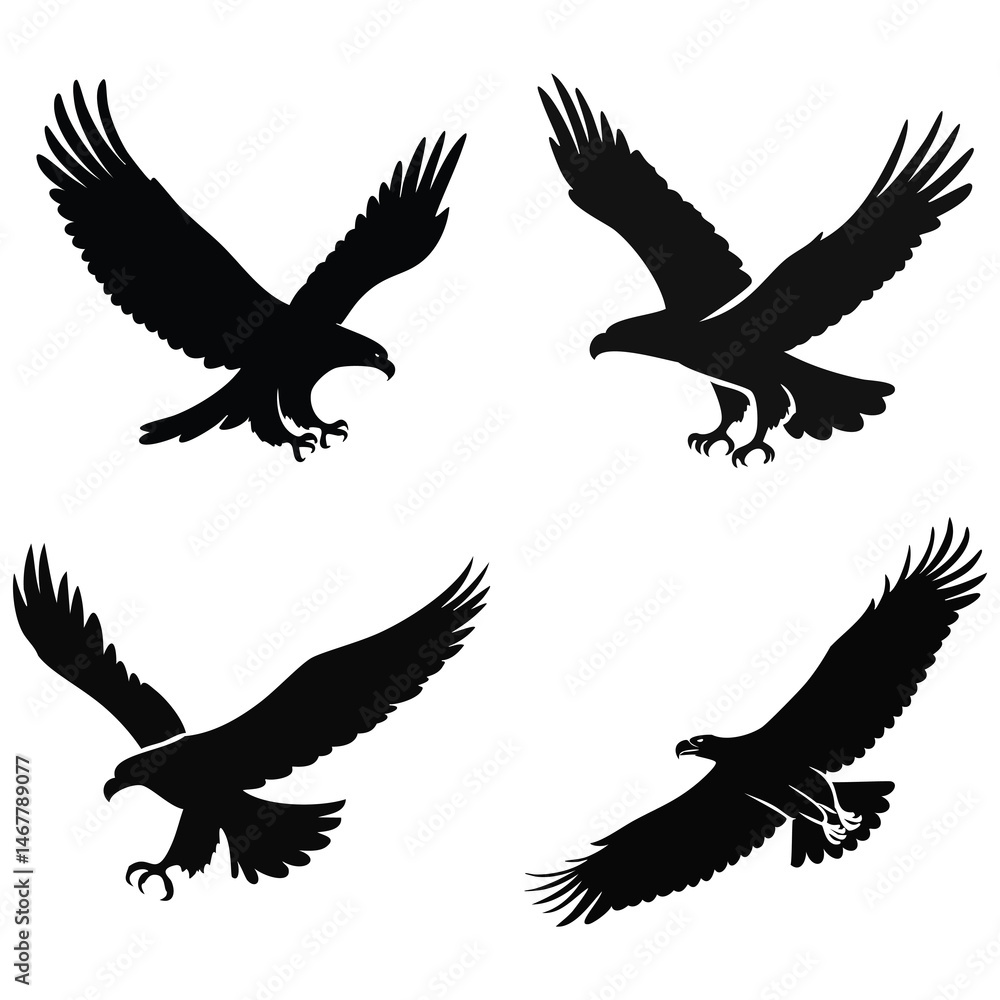 Obraz premium eagle vector illustration