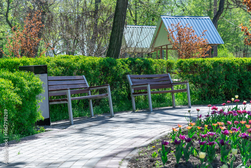 Urban park with brown wooden benches in row. Rest area with symmetry seat in public park. Place sitting on sidewalk. Seating area features wooden benches and garbage bin in cozy spot for relaxation.