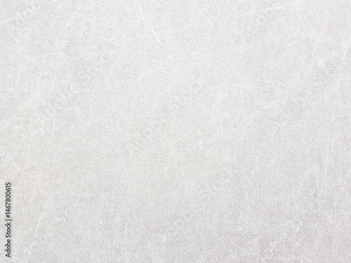 Close-up of a white background with a rough texture. Wallpaper with a texture similar to animal skin.