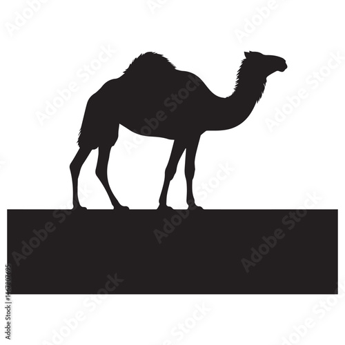 A Silhouette of a Camel