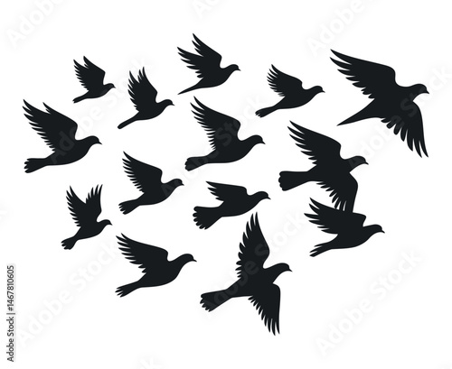 Silhouette of a Flock of Doves Forming a Heart Shape in Flight