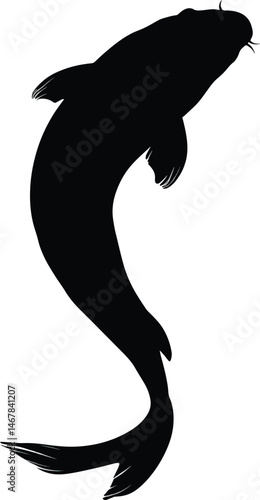 An isolated silhouette of koi fish with curved tails, vector, png