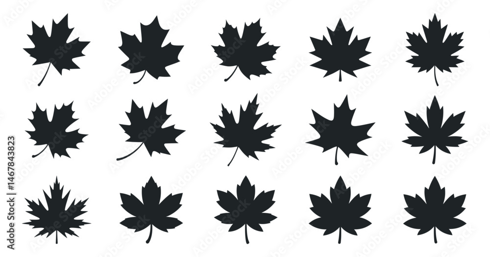 Fifteen Black Silhouettes of Maple Leaves Isolated on White Background Fifteen Black Silhouettes of Maple Leaves Isolated on White Background