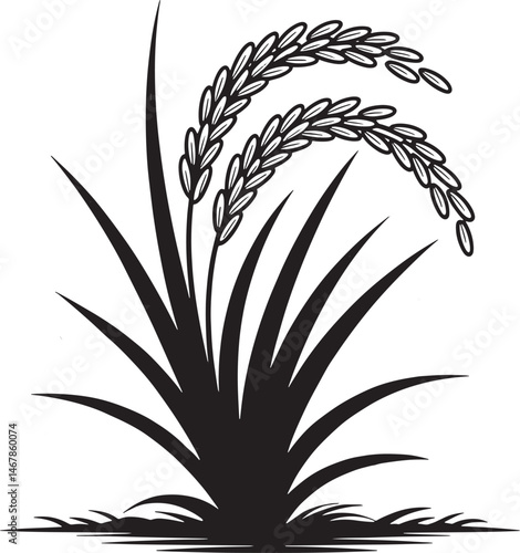 Rice Plant Silhouette Illustration