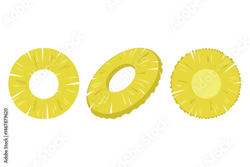 Pineapple circle round pieces vector set. Vector illustration of ripe juicy pineapple slices. A cut ring of fresh exotic fruit