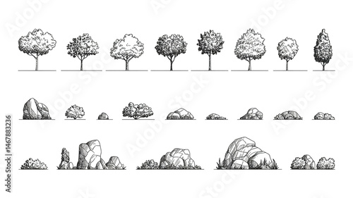 A black and white architectural sketch collection of trees and landscaping elements arranged in three horizontal rows