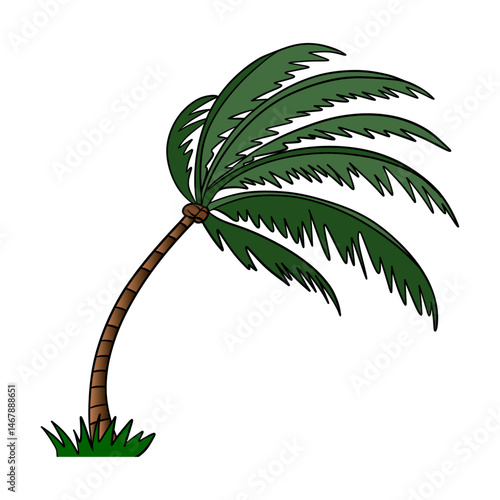 A strong wind blows on a palm tree. Island flora plant element