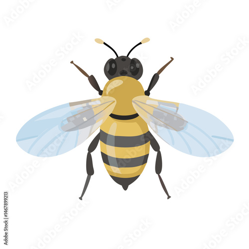 Bee: The Diligent Pollinators of Nature