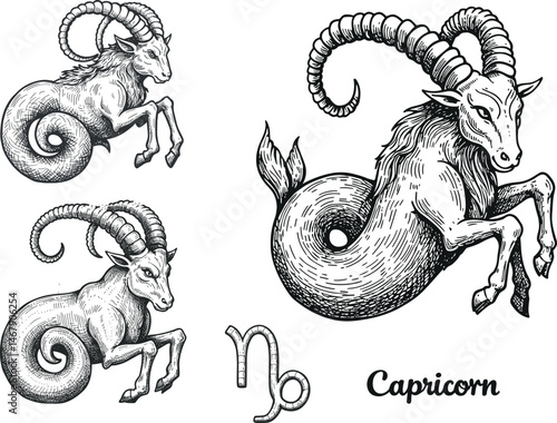 Hand-drawn engraving Capricorn zodiac symbols and goat-fish hybrids in black and white