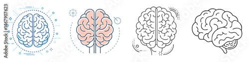 Four stylized illustrations of the human brain representing intellect, creativity and thought