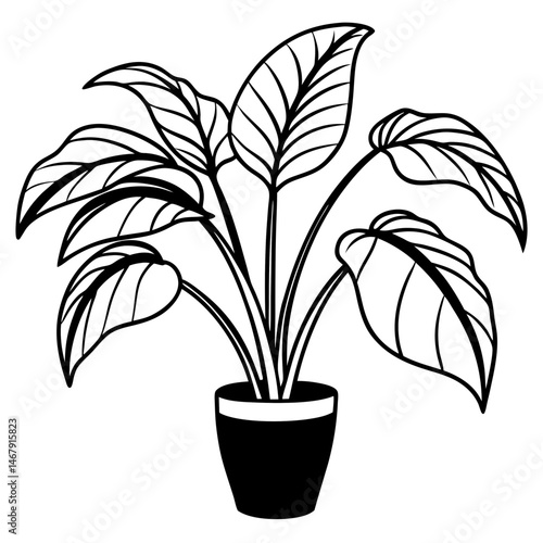 vector illustration of a plant