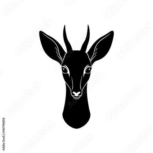 dik dik head on white background  
