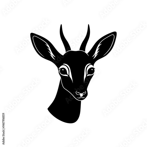 dik dik head on white background 
