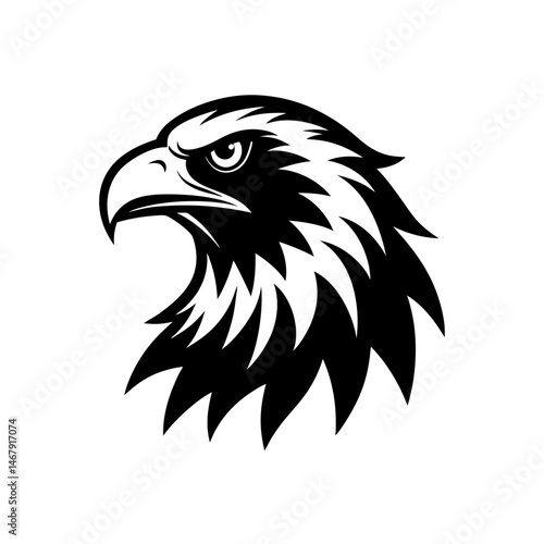 eagle head on white background  