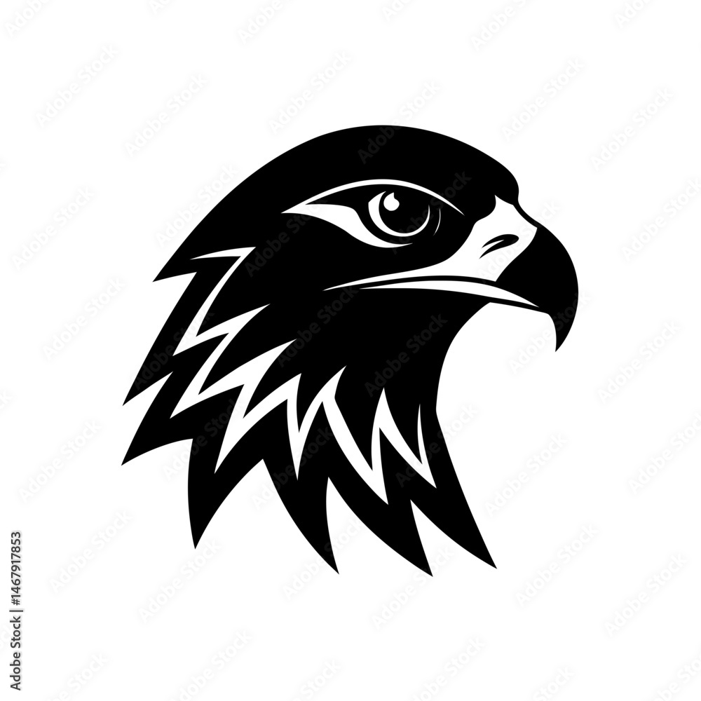 Obraz premium hawk head on white background 