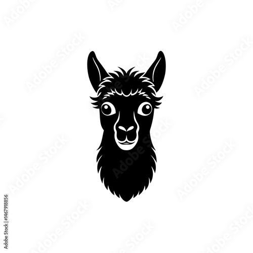 llama head on white background 