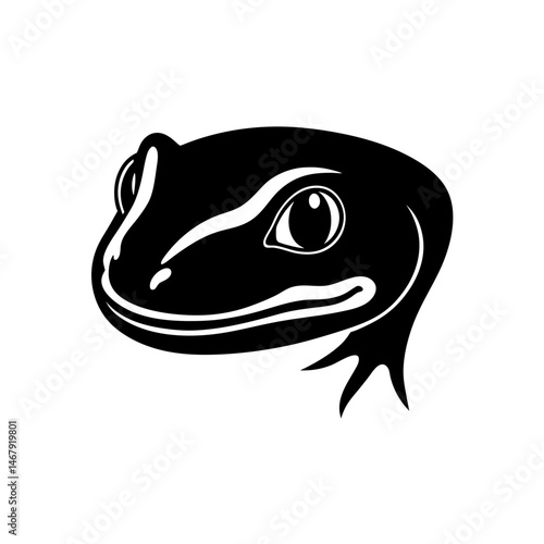 salamander head on white background  