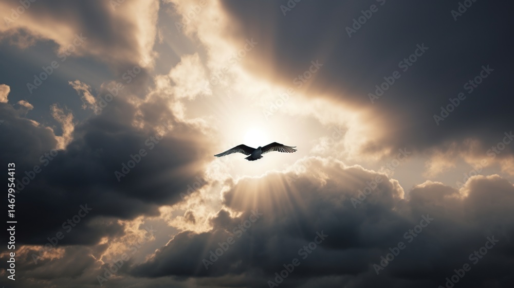 Fototapeta premium Soaring bird in a celestial light