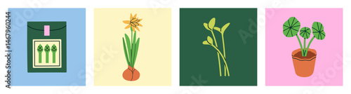 A collection of posters with vector illustrations of narcissus bulb, sprouts, young seedlings and a package of asparagus seeds. Good for classrooms, gardening guides, or agricultural presentations.