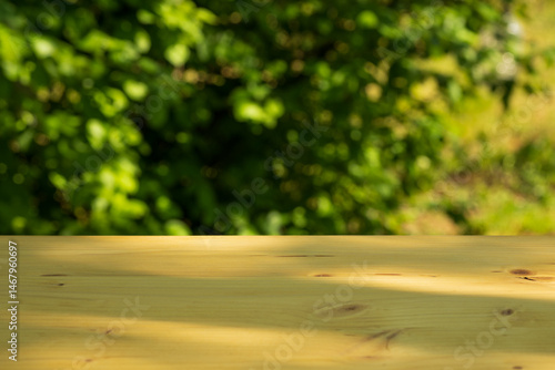 Empty wooden table with sunny garden background in soft focus
