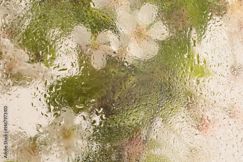 Wallpaper Mural Soft focus green, beige pink leaf and  flower bouquet through glass with wet water drops. Abstract natural blur background. Torontodigital.ca