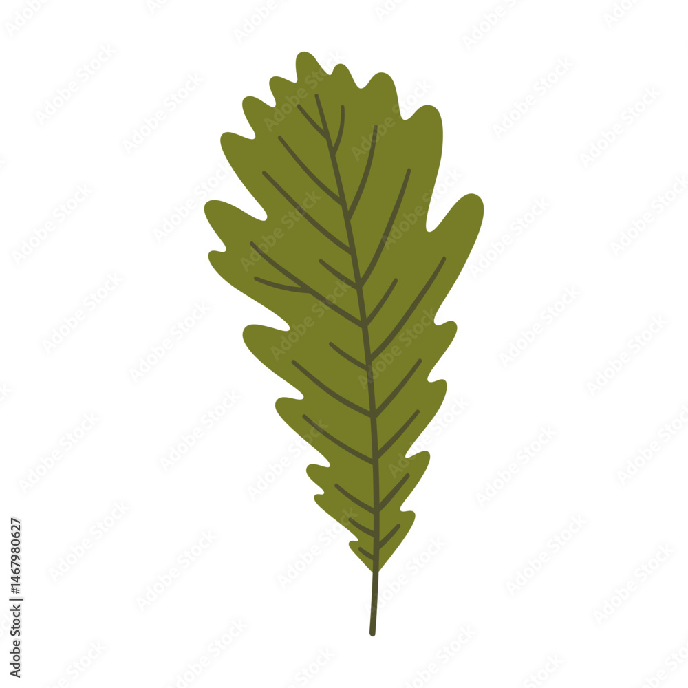 Oak leaf in dark green color. One element isolated on white. Spring or summer background, vector illustration Oak leaf in dark green color. One element isolated on white. Spring or summer background, vector illustration