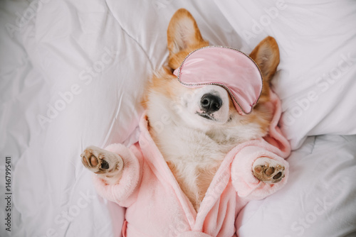 Relaxing corgi wearing a sleep mask and cozy robe while napping comfortably on a bed