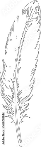 Feather design with a textured surface, formed using lines and shapes that create a tactile appearance.