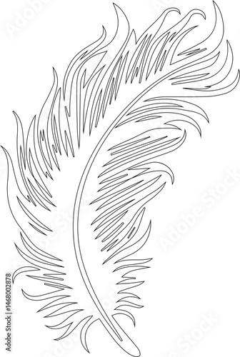 Feather with a thick outer outline and bold, strong lines defining its shape and structure.