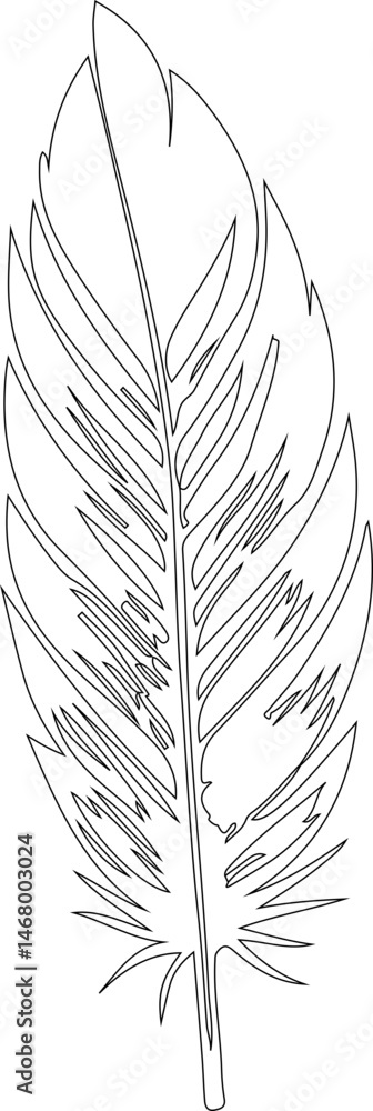 Obraz premium Feather vector with distinct design elements and clear linework, featuring a unique form.